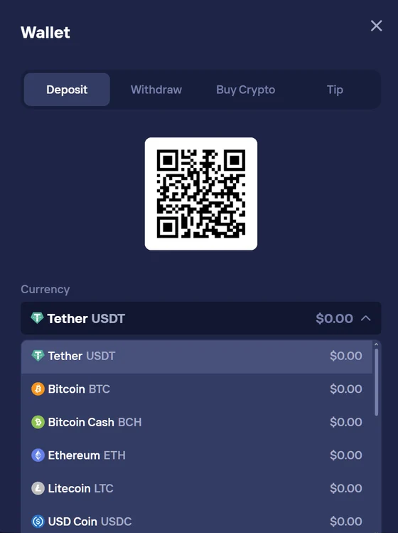Duel Casino wallet deposit screen: QR code for crypto address, with a full list of supported currencies — USDT, BTC, BCH, ETH, LTC, USDC.
